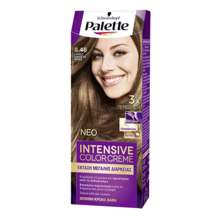 PALETTE HAIR COLOR SEMI SET N8.46 110ML