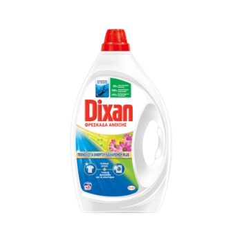 DIXAN GEL SPRING 48W