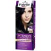 PALETTE HAIR COLOR SEMI SET N1 110ML