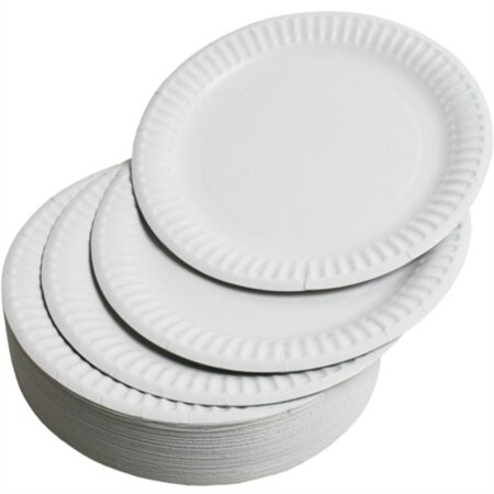 CLASS PAPER PLATES 23CM 100PCS