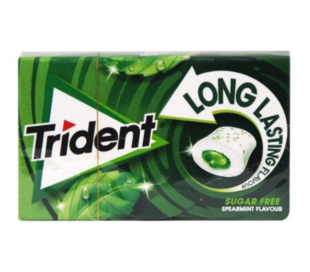 TRIDEN SPEARMINT FLAVOUR SUGAR FREE 22GR